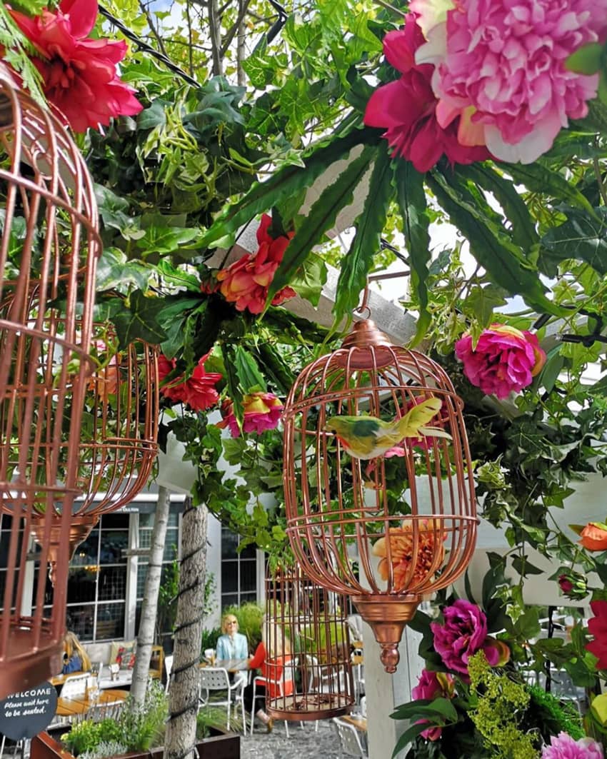 Bluebird Chelsea garden with bird cages and flowers