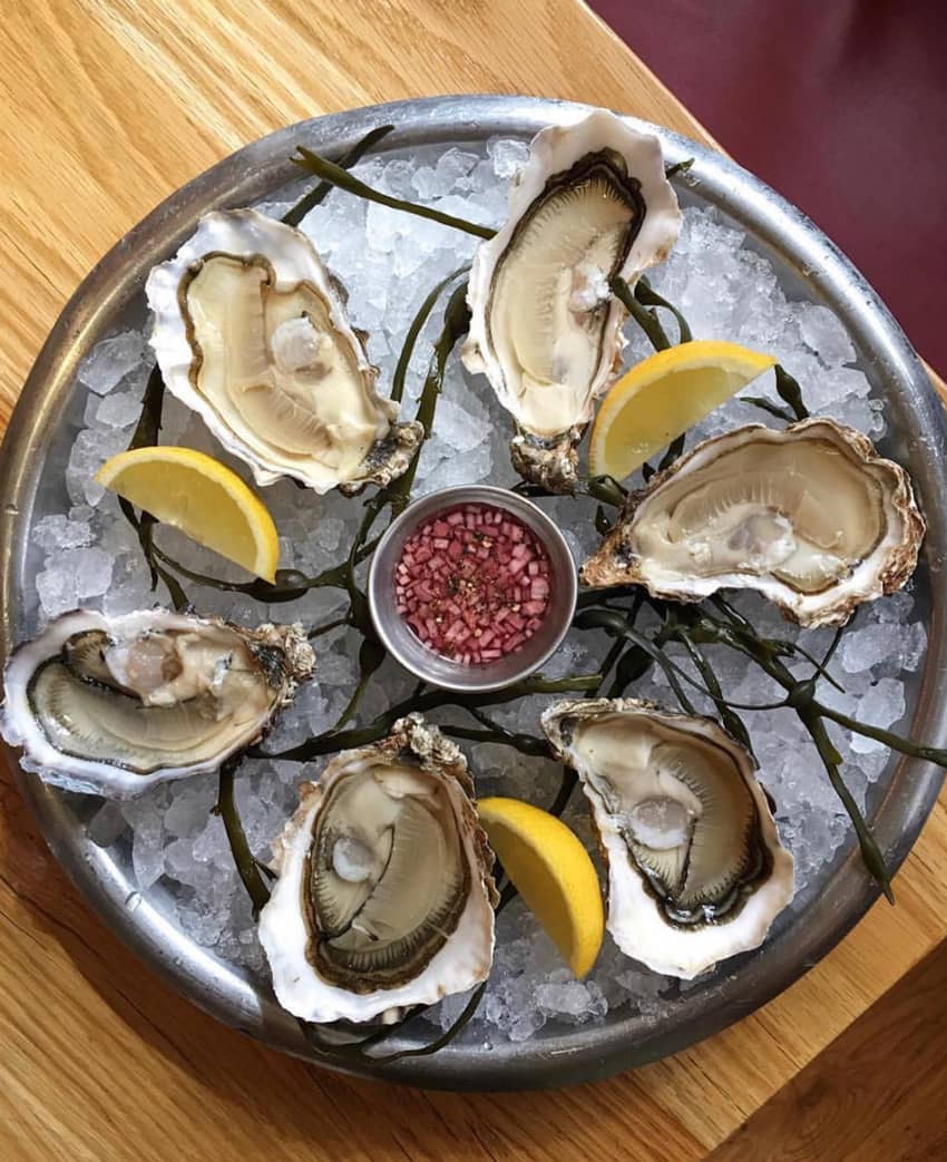 ice-plate-filled-with-oysters