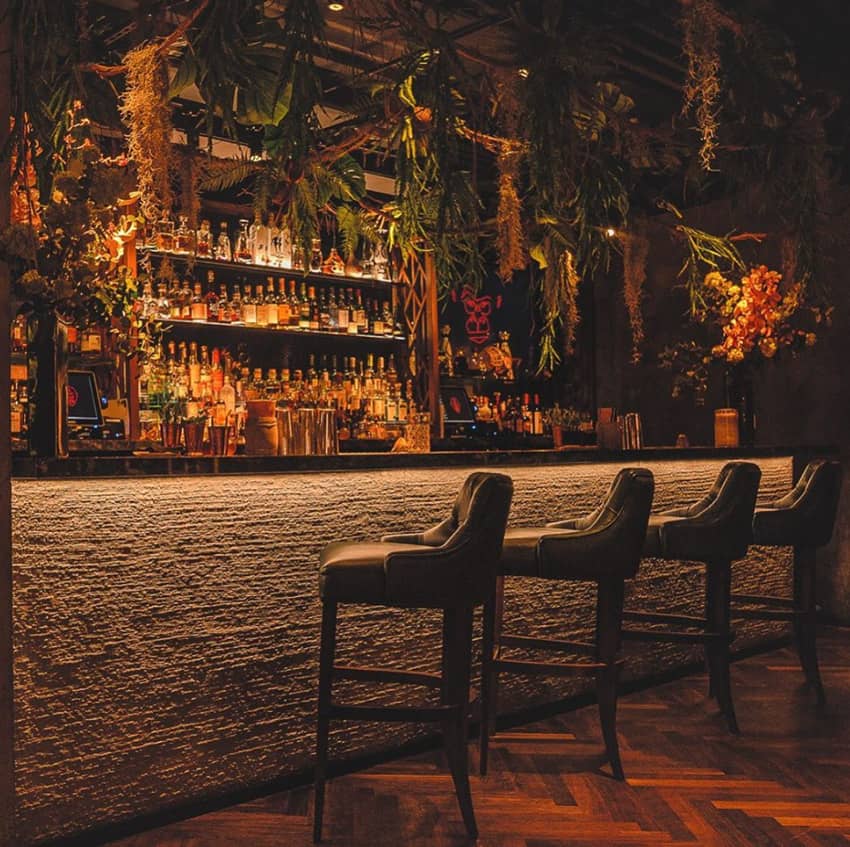 mnky house jungle like bar interior