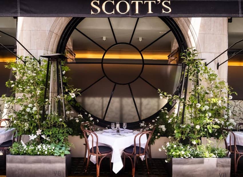 scotts london set table in between plants