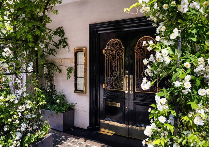 scotts london entrance black doors golden details flowers