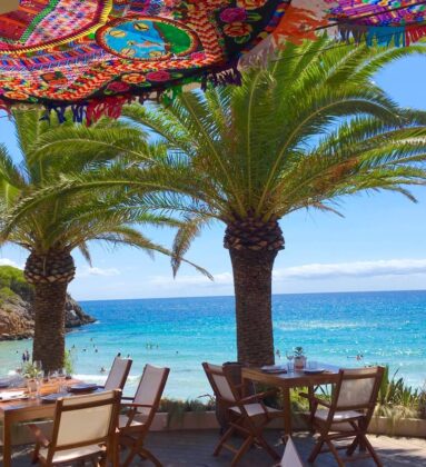 Aiyanna Ibiza palm trees Mediterranean Sea view