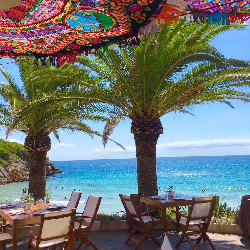 Aiyanna Ibiza palm trees Mediterranean sea view
