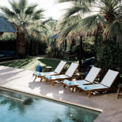 the giri residance sunbeds pool palmtrees