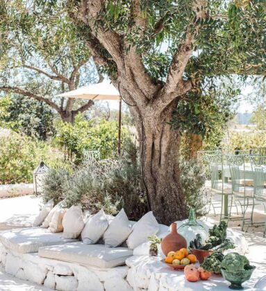white stone border olive lavender bush