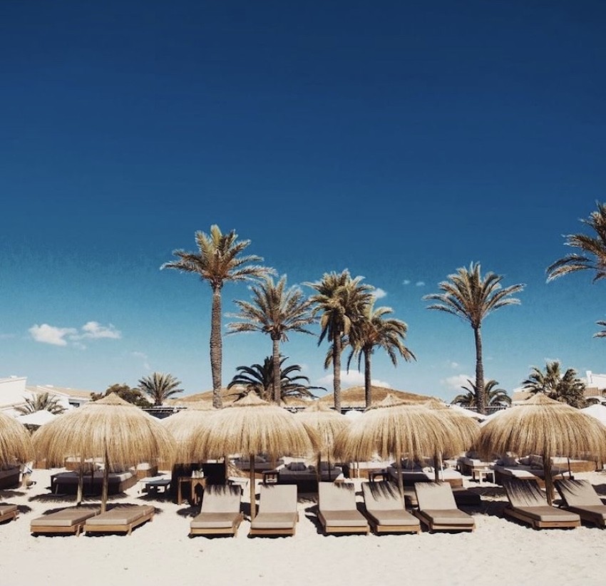 Beachhouse Ibiza sunbeds palmtrees parasols