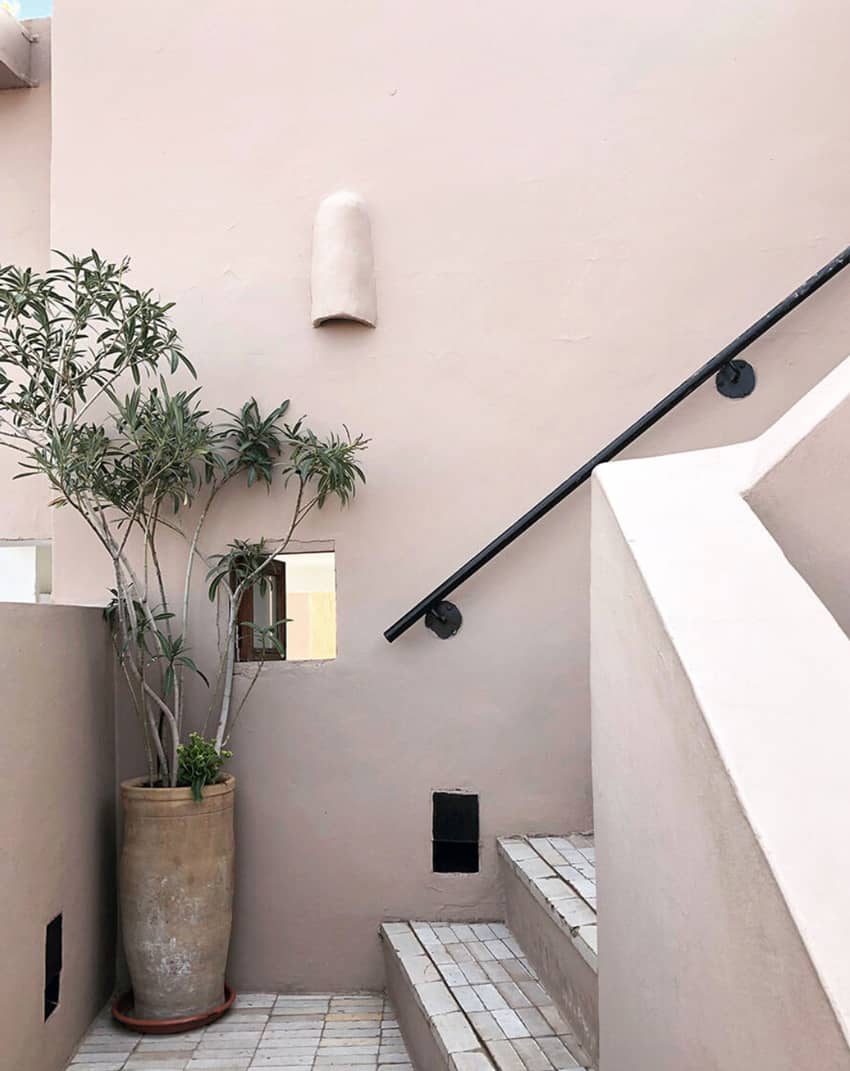 Nomad Marrakech stairs potted plant