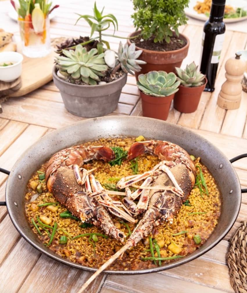 Valecian paella grilled spiny lobsters