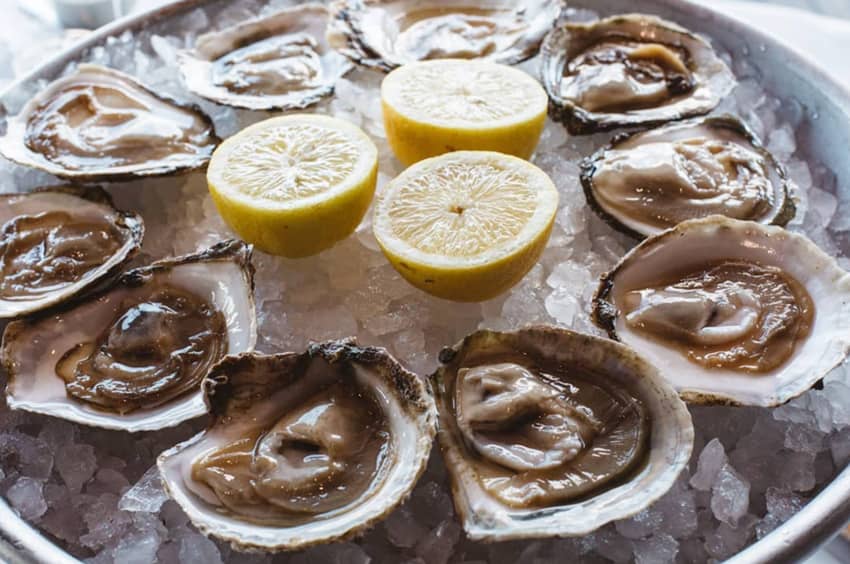 fresh oysters on ice lemons