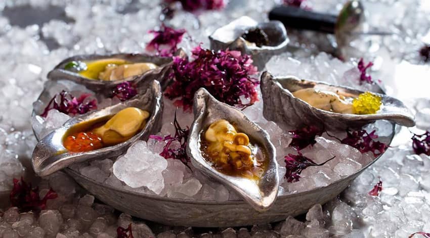 oysters on ice platter raw half shell caviar