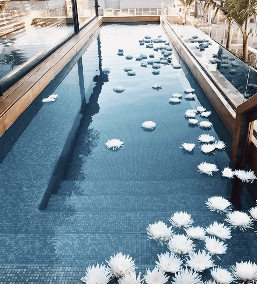 pool with white flowers in it