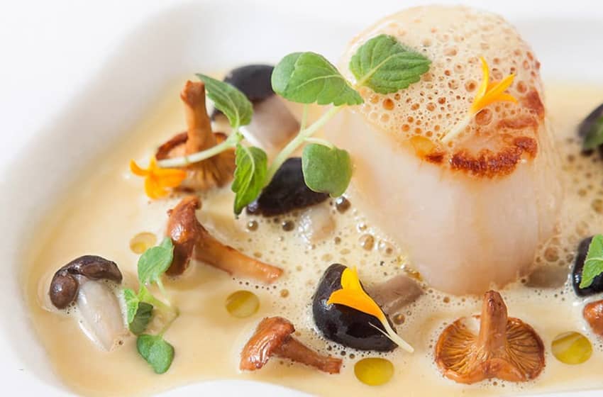 seared scallop with mushrooms