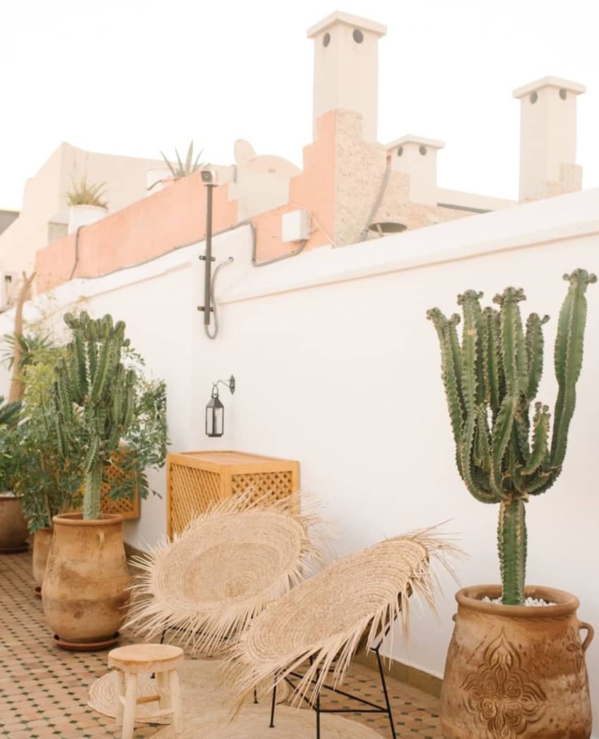 Riad Le Pelerin terrace clay potted cactus