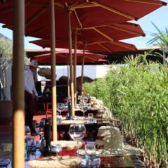 bamboo lined outdoor dining area maroon parasols