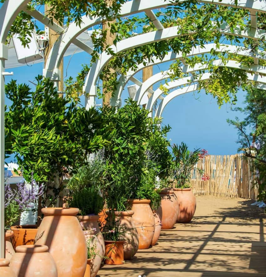 hoop house trellis clay potted plants