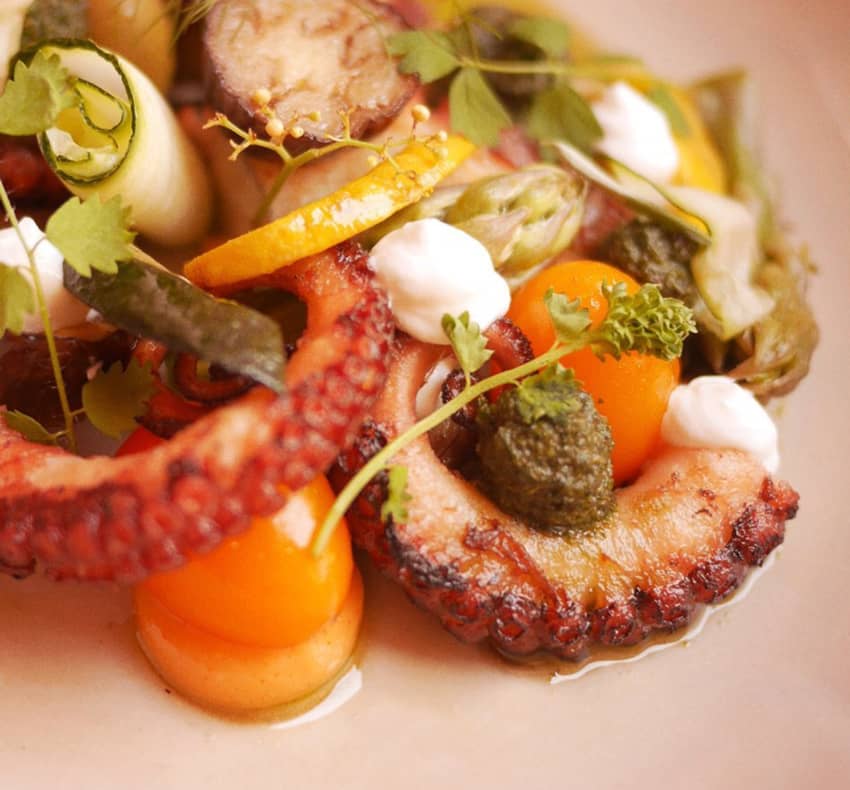 grilled octopus tentacles fresh vegetables