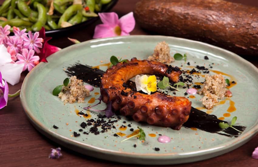 nikkei signature dish roasted octopus tentacle
