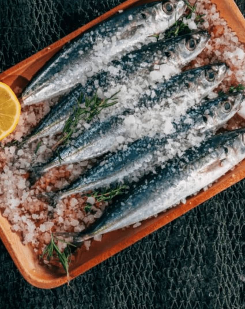 Ca's Patro March salted sardines