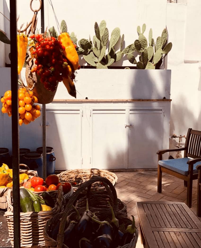 fresh local produce native baskets cactus plants