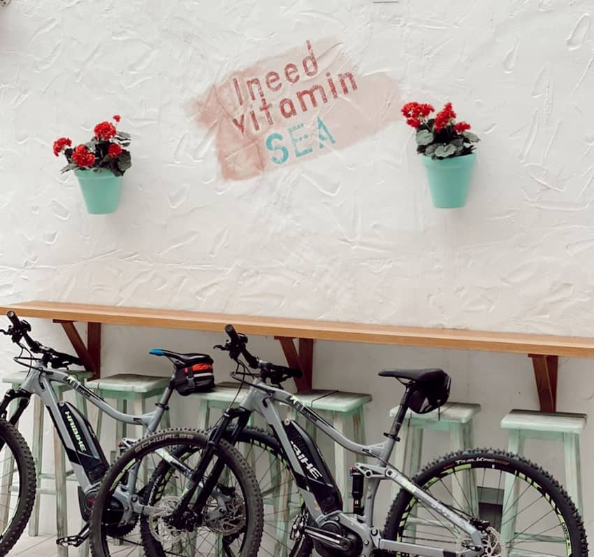 i need vitamin sea bicycles potted flowers