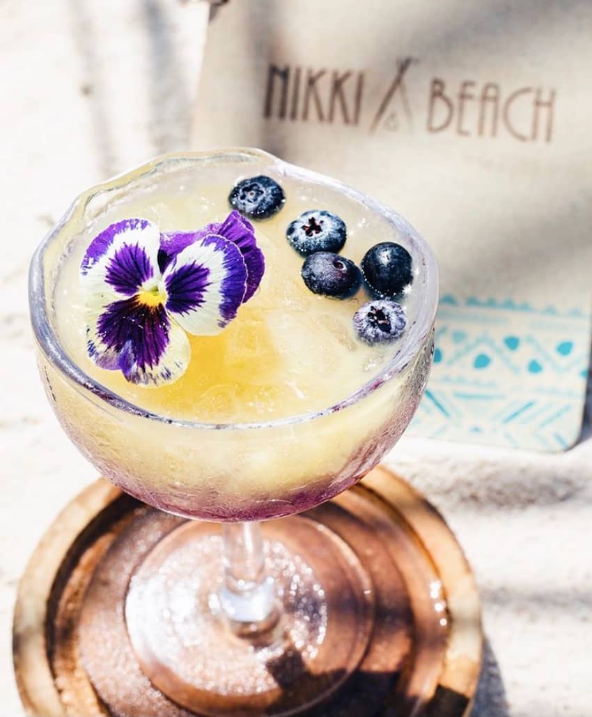 summer cocktail blueberries flower garnish