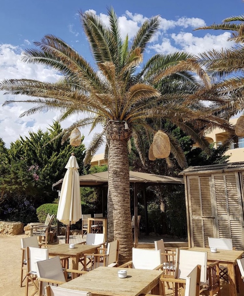 Babylon Beach palm tree white chairs