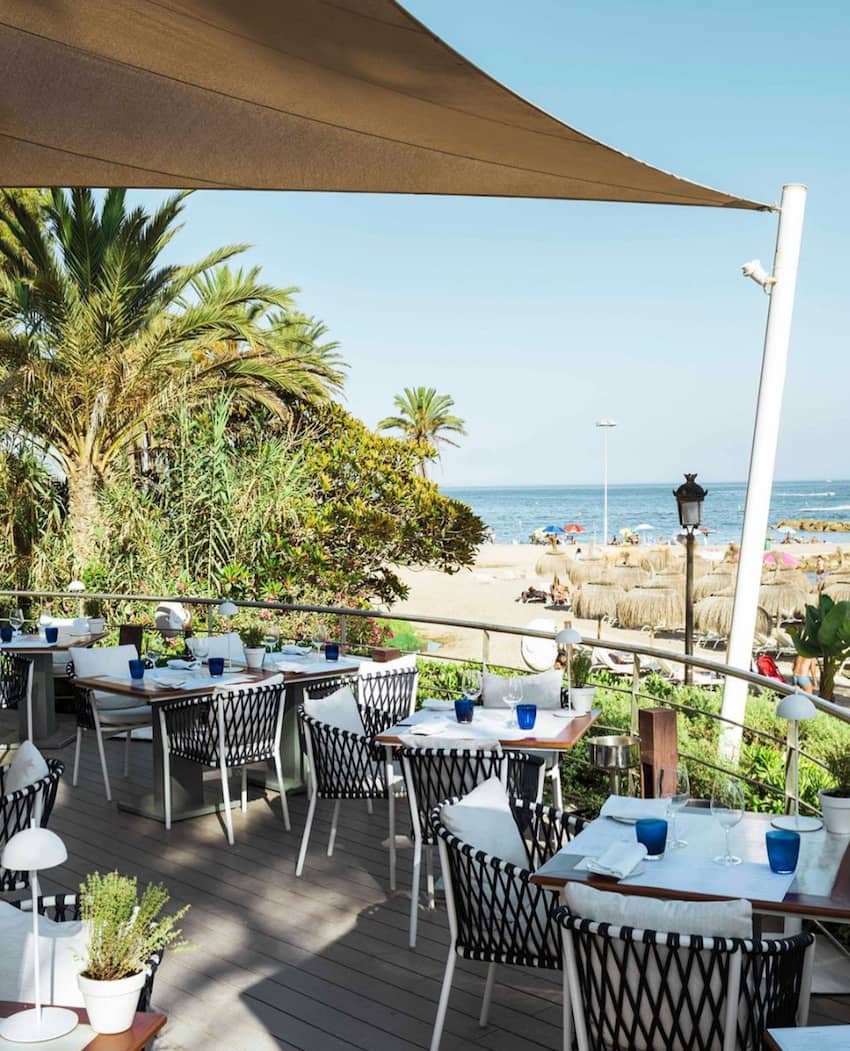 sygdom skør Beregning Sea Grill Marbella: Mediterranean Seafood and a Glass of Champagne.