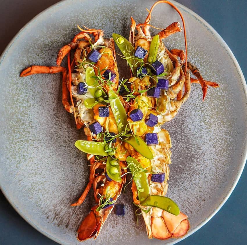Taiko Amsterdam lobster asian cuisine