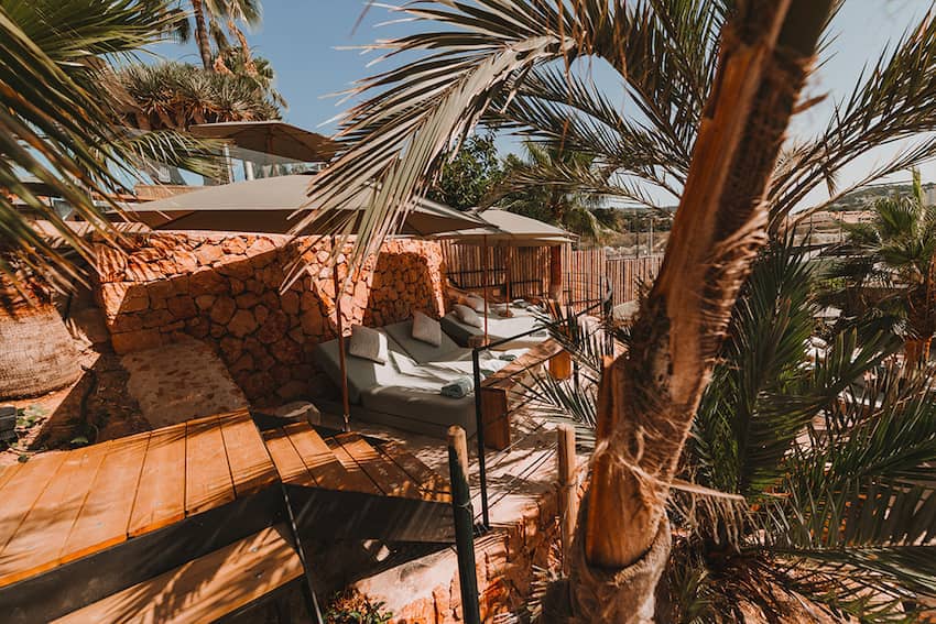 Um Beach House Portals outdoor palm trees