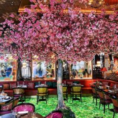 blooming sakura tree centerpiece painted glass walls