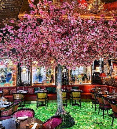 blooming sakura tree centerpiece painted glass walls