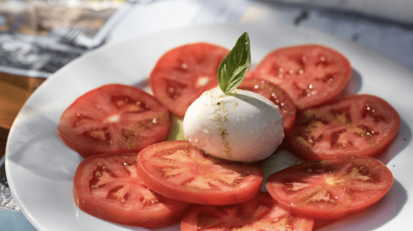 buratta tomato white plate