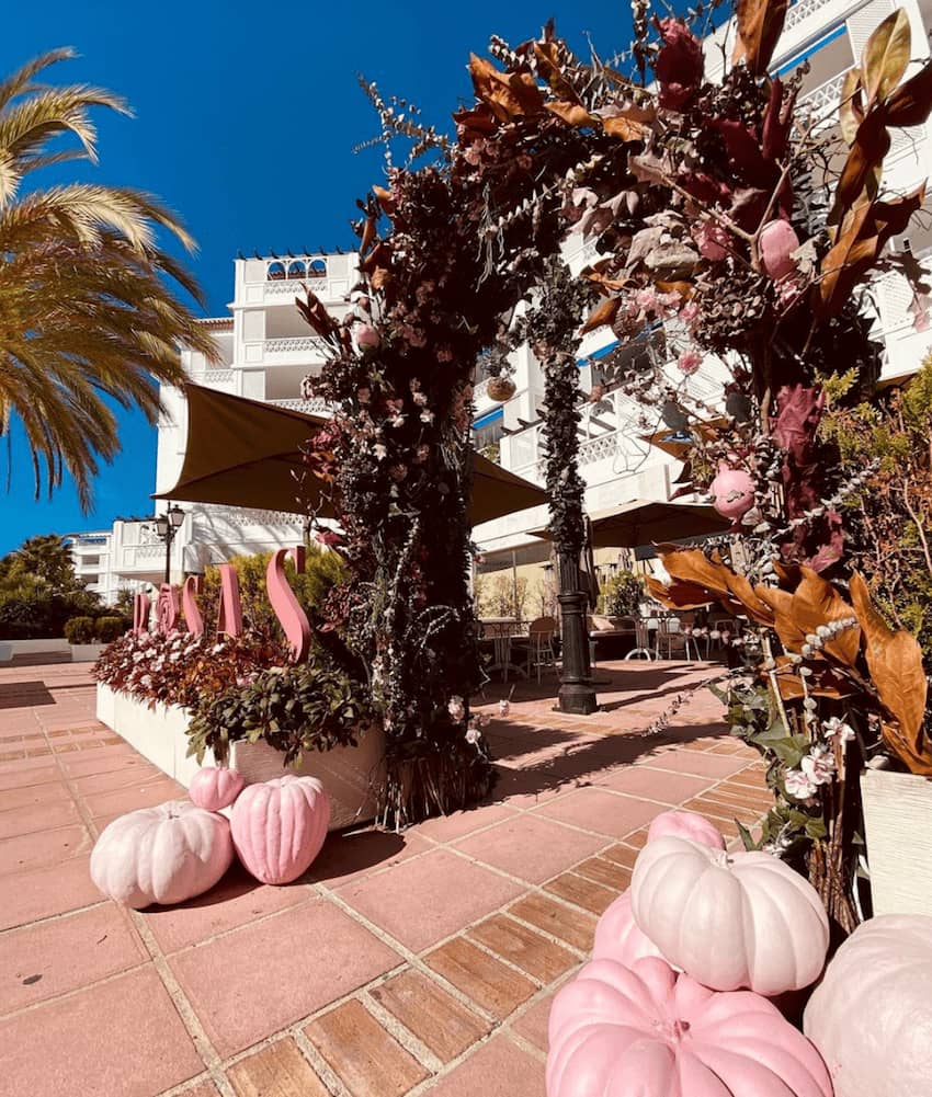 curved entrance autumn vibe pink pumpkins