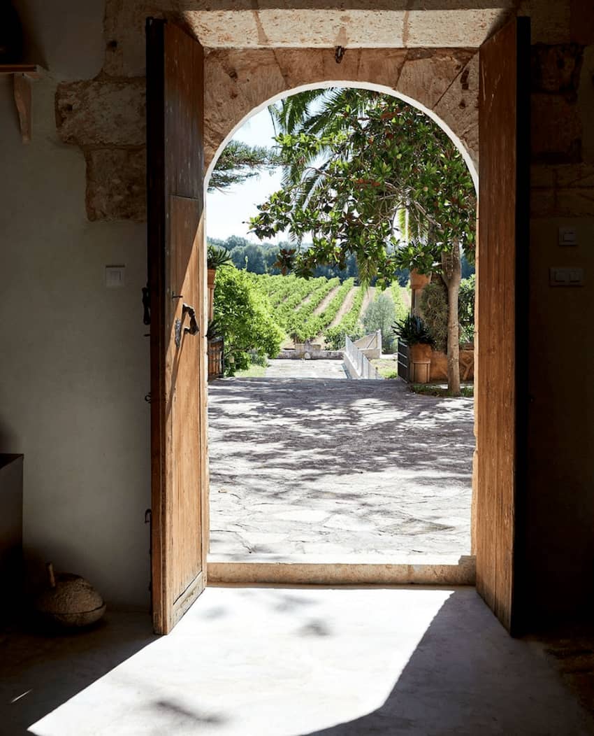 large wooden door overlooking vineyard
