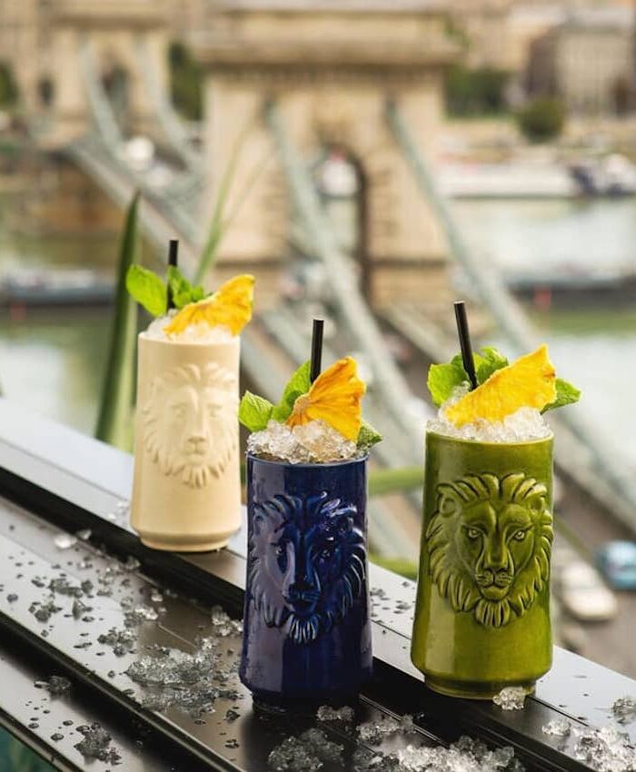 Leo Rooftop Budapest- a few miles from the Buda Castle