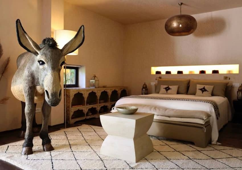 Dar El Sadaka donkey suite