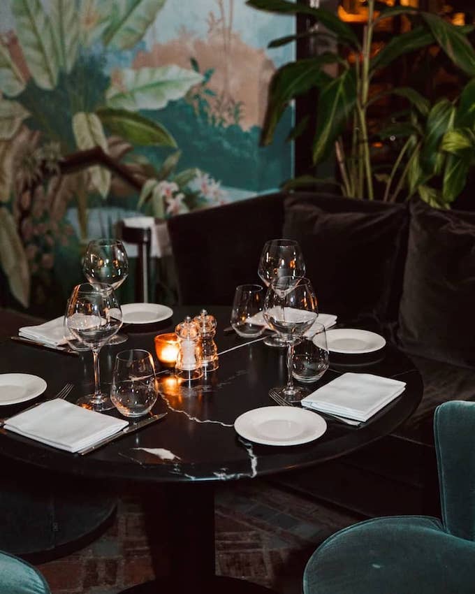 Monkey Club Marbella – Unique Style and Tropical Atmosphere