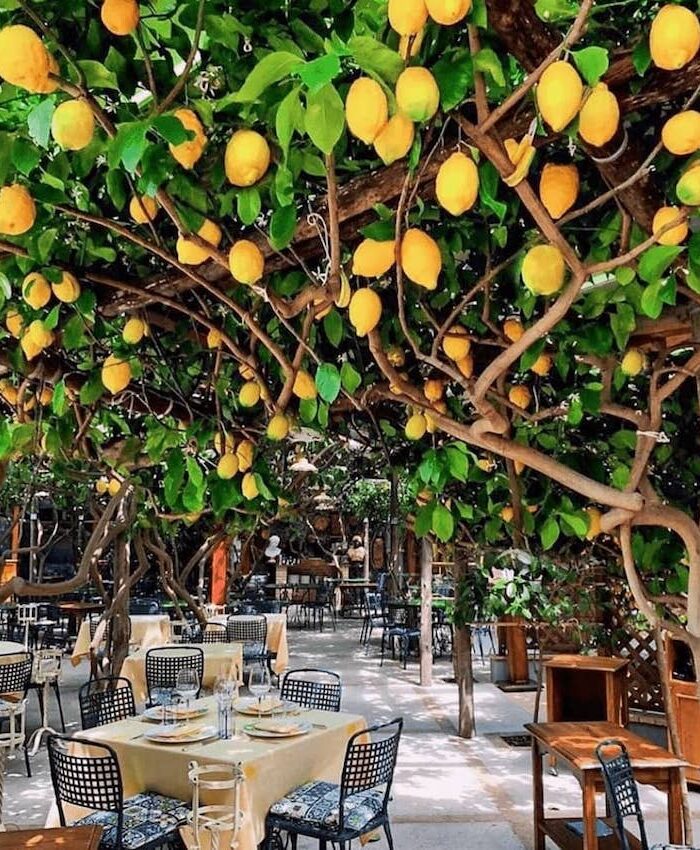 Da Paolino capri- where dreams meet reality