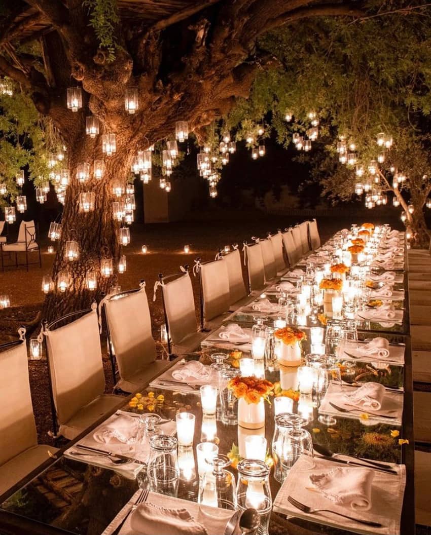 dining under tree adorned with thousand candles