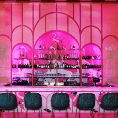 Bar Pink Drinks Flamingo