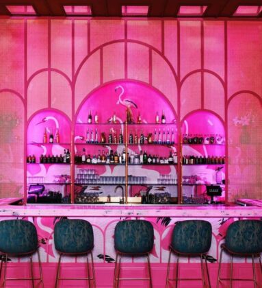 Bar Pink Drinks Flamingo