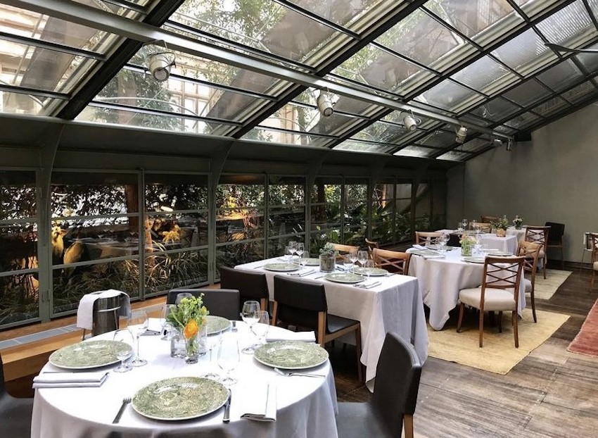 Tragaluz-inside-dining-glass-roof