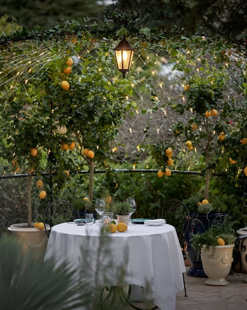 dinner secret garden lemon tree cozy lights