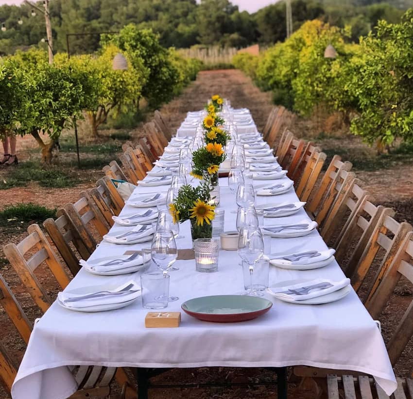 terra masia garden wine set table